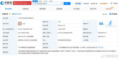 揭秘陰陽師前負責人創業公司 深耕計算機軟硬件開發與銷售的新篇章